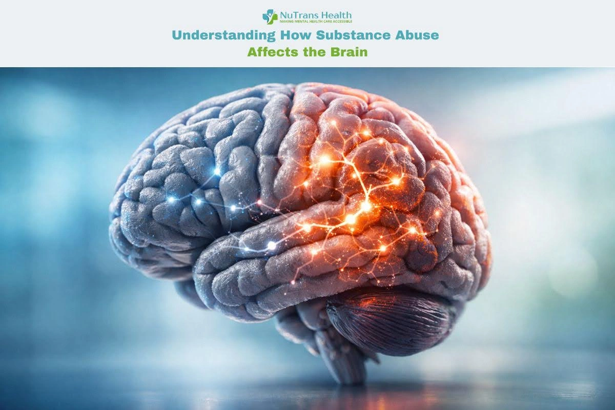 The Brain’s Reward System